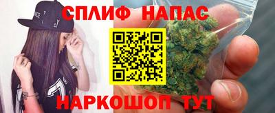 индика Пыть-Ях