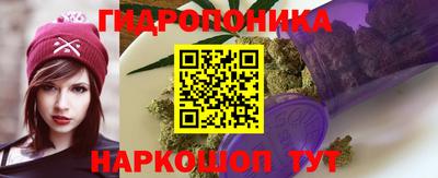 индика Пыть-Ях