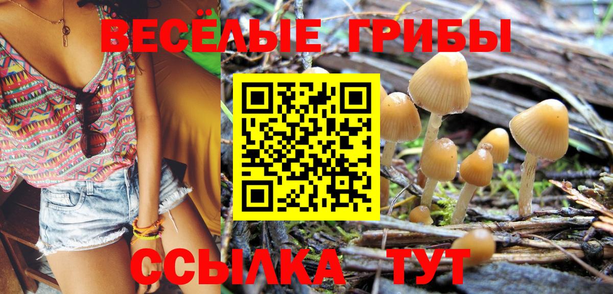 Саянск  Галлюциногенные грибы ЛСД  Вход с VPN 